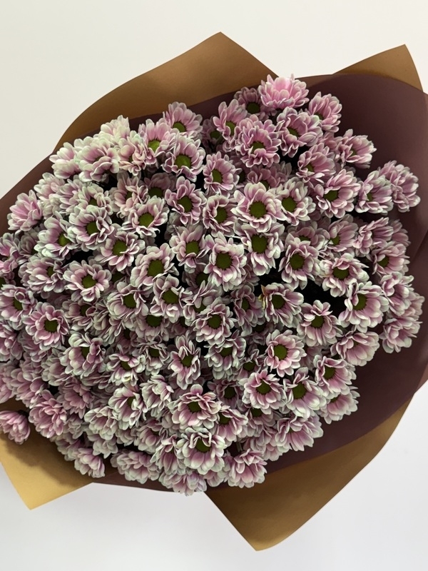 Pembe Papatya Krizantem Buketi