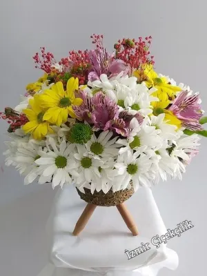 Vazoda Canlı Çiçekler